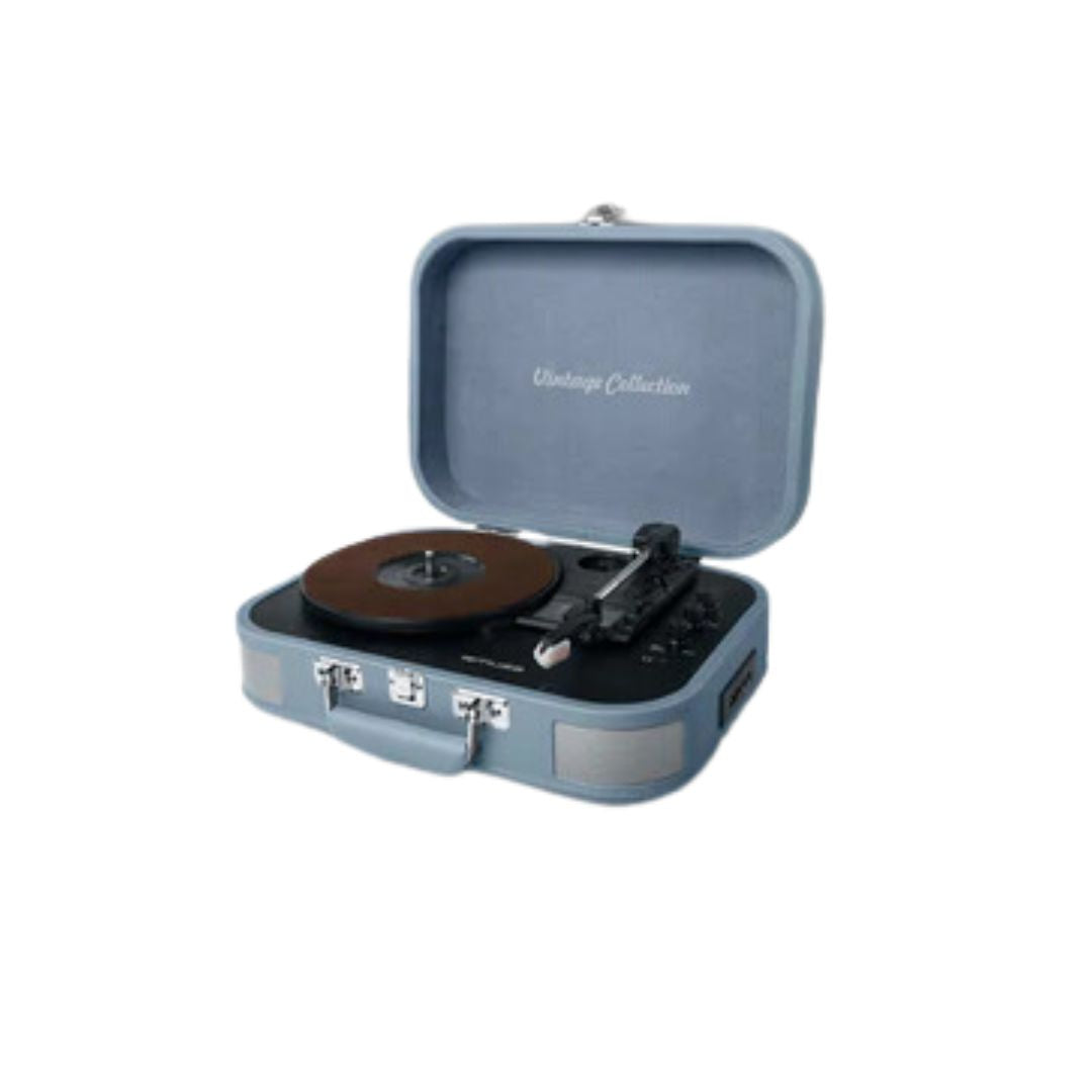 Pick-up Muse MT-201 BVB, Vintage Collection