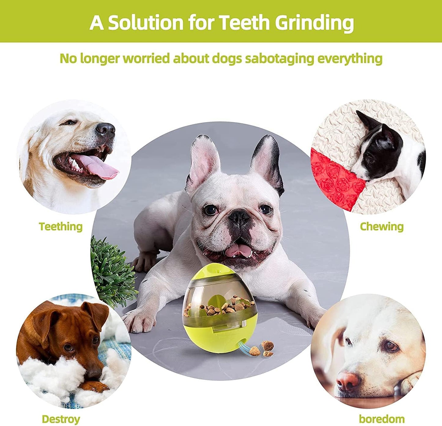 Eating Sport Pet: The Automatic Treat Ball