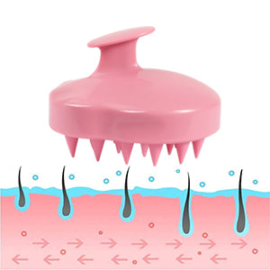 Maxsoft Scalp Massage Brush
