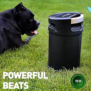 Tellur Rapture Bluetooth Speaker 70W, black