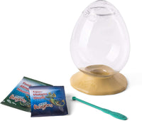 Aqua Dragons - EggsPress