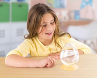 Aqua Dragons - EggsPress