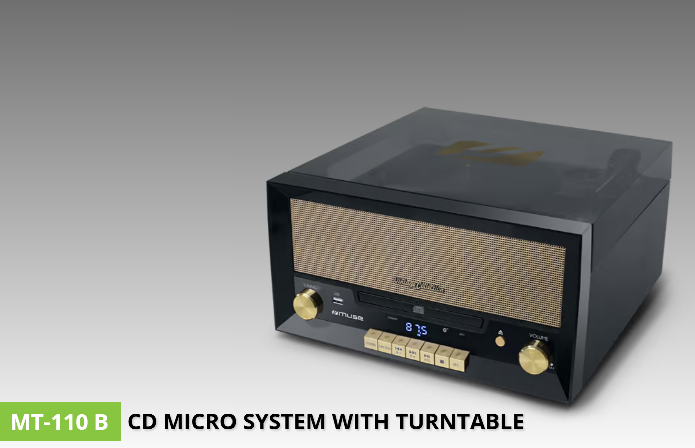 MT-110 B CD Micro System with Turntable